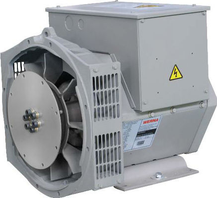 खरीदें 50Hz Double Bearing Alternator with Rated Voltage 110V-480V and AVR SX460 AS440 for Stable Power Output online manufacture