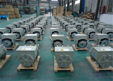Portable 20kw 50hz Residential Diesel Generators 110 - 240V SX460 AVR