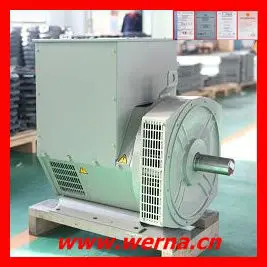 इन्सुलेशन वर्ग H नामित वोल्टेज 220V एकल चरण एसी जनरेटर