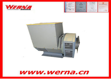 3 फेज़ अल्टरनेटर 110-240V 12/6 वायर ब्रशलेस एयर-कूल्ड